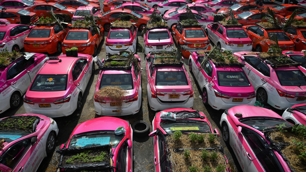 Thai taxi company turning its idle cars into vegetable gardens