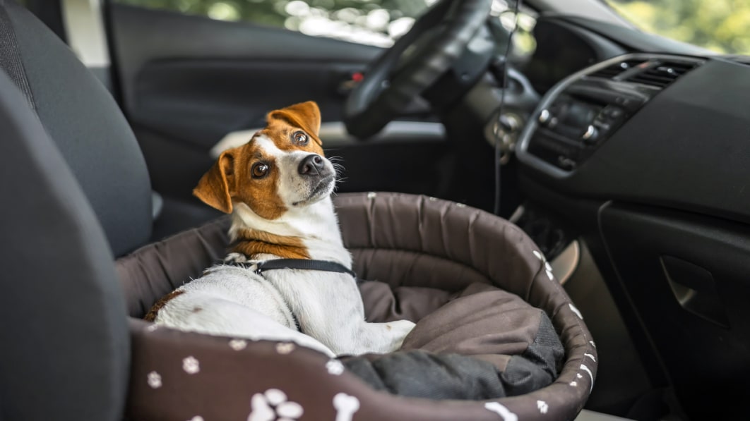 The Best Dog Car Seats of 2022 (Review) – Autoblog Commerce