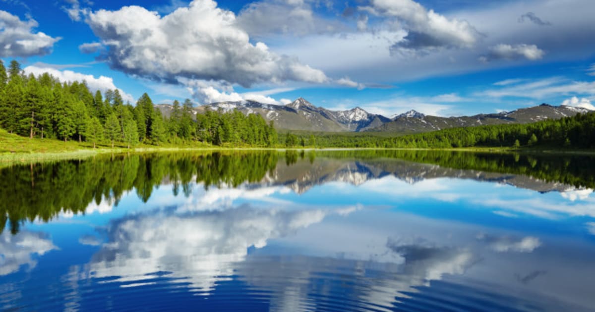 Why You Should Care About Canada's Environmental Future | HuffPost Canada