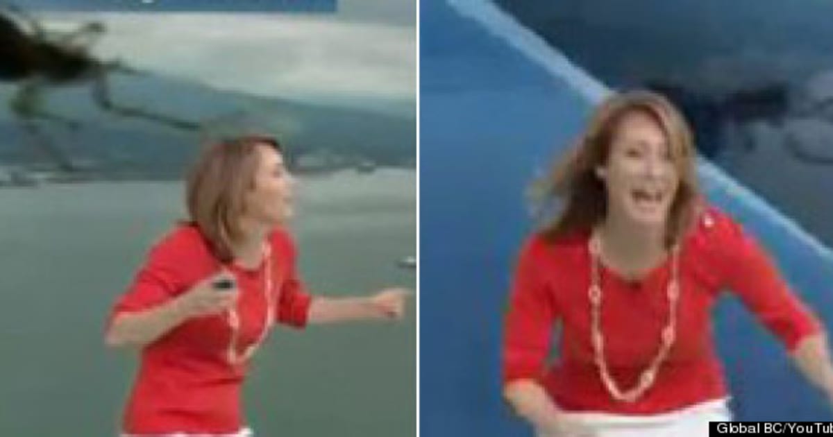 Meteorologist Kristi Gordon Freaks Over Spider On Camera (VIDEO ...