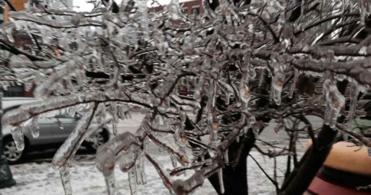 Ice Storm Safety 5 Steps For Staying Safe HuffPost Canada