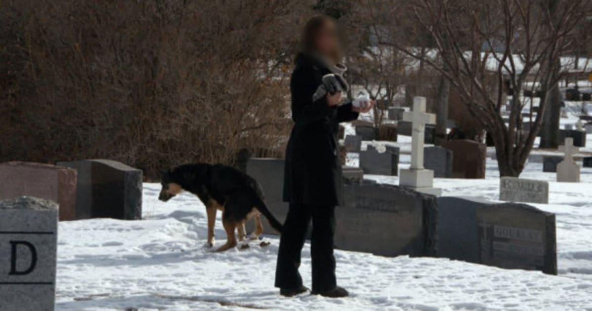 Dog Pooping On Gravesite Photo Sparks Public Shaming Debate Photo