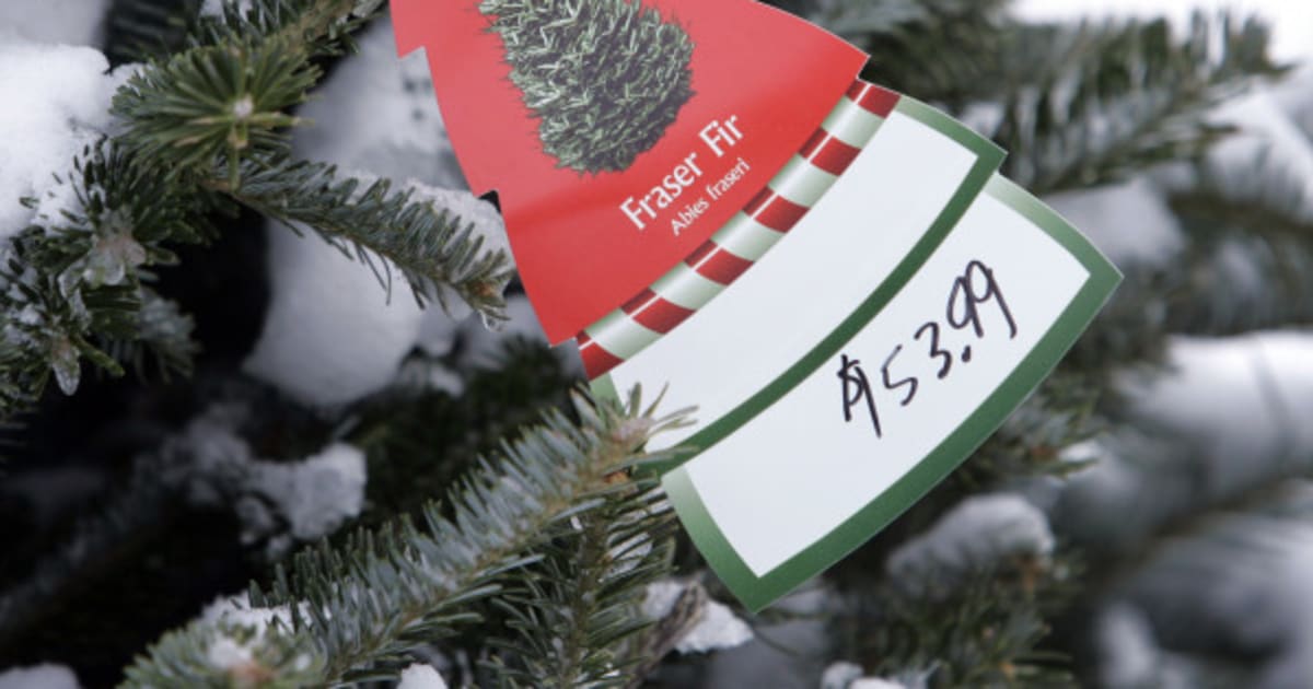 Christmas trees will cost you $1,000 in this New York City ...