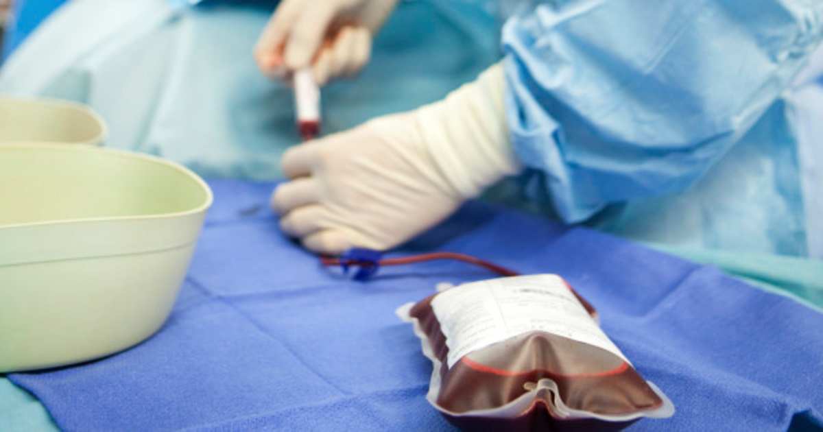 Utiliser La Moelle Osseuse Pour Faire Du Sperm