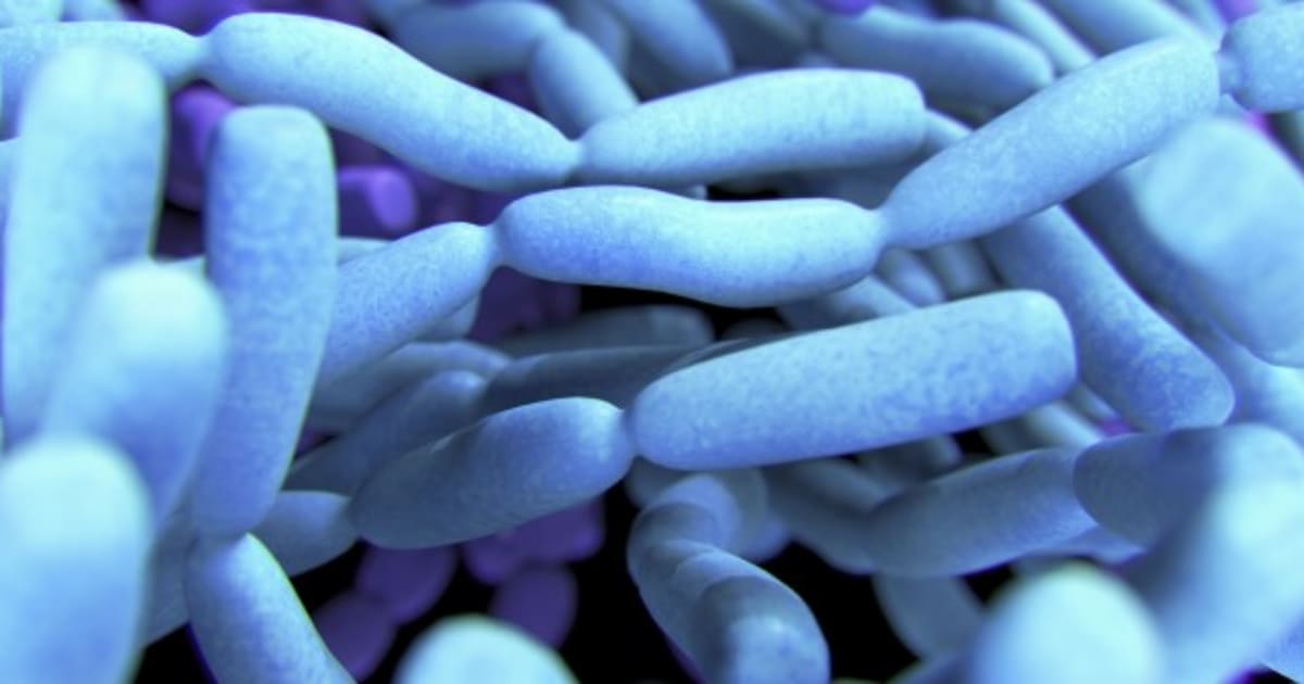 Probiotics May Help Lower Pesticide Problems