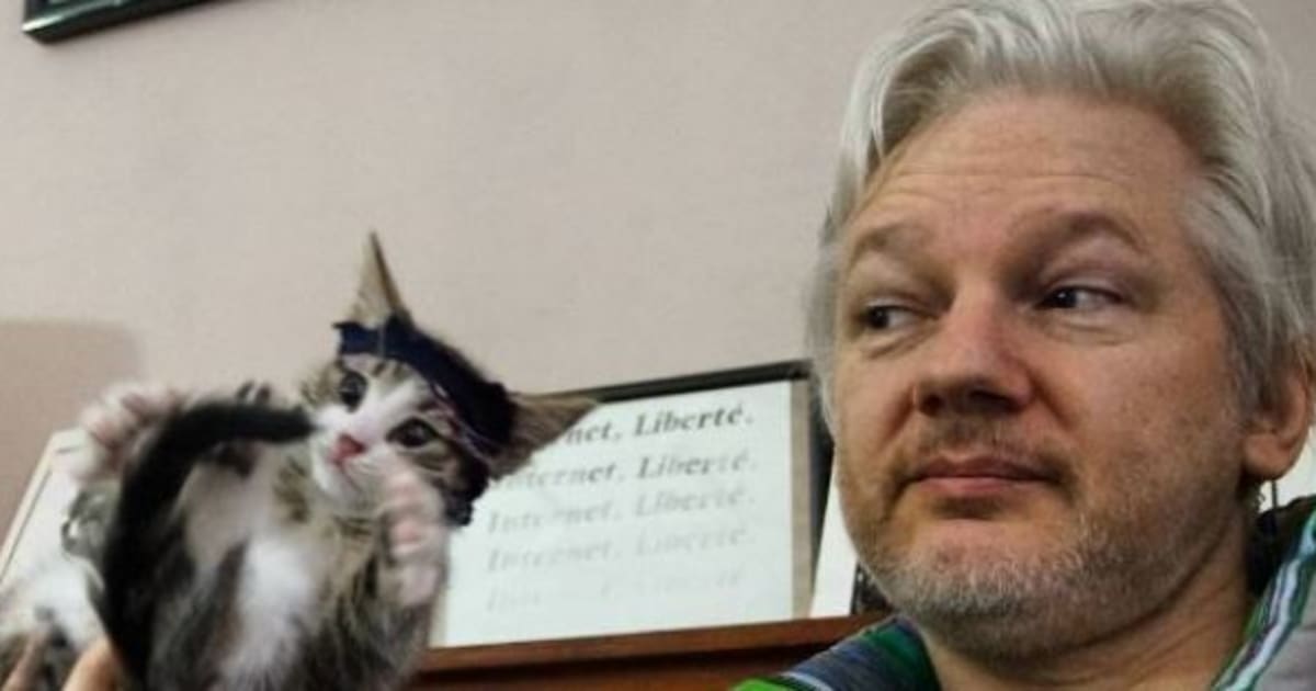 O gato de Julian Assange está fazendo o maior sucesso na 