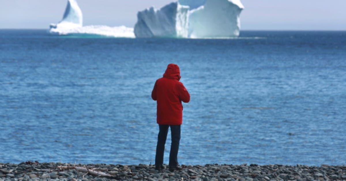 Iceberg Alley Is Spectacular This Year For A Sad Reason HuffPost Canada   Http   I.huffpost.com Gen 5253376 Images N FERRYLAND ICEBERG 628x314 