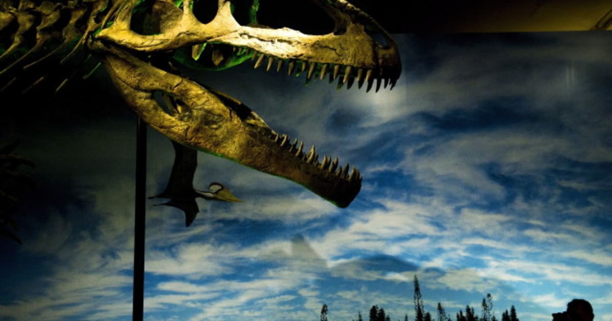 rom dinosaurs virtual tour
