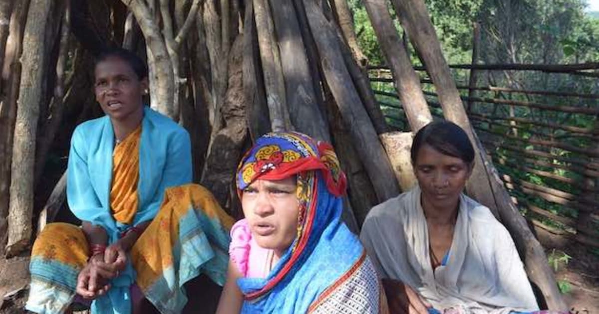 How Tribes In Odisha Are Using Forest Food To Keep Malnutrition At Bay