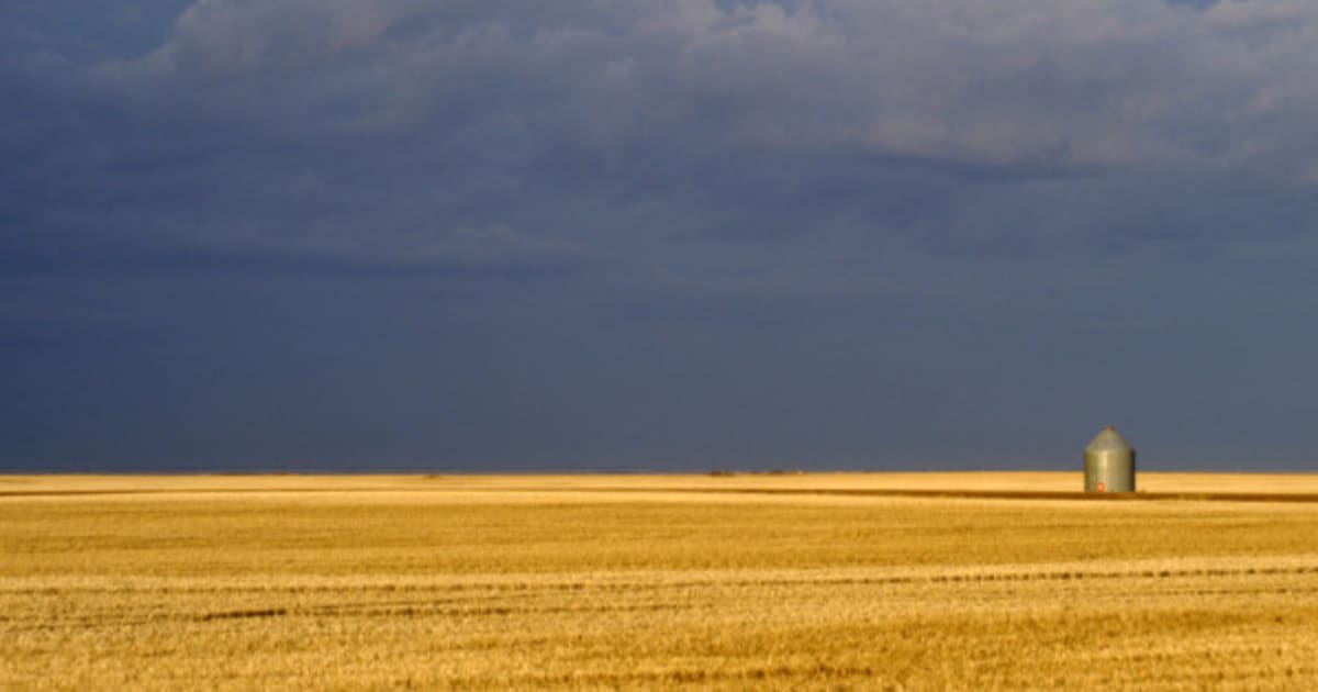 DroughtRidden Saskatchewan Faces Its Worst Harvest In Years HuffPost