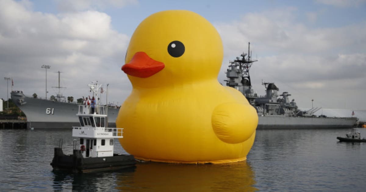 canada-gets-giant-rubber-duck-for-its-birthday-because-a-loon-is-too