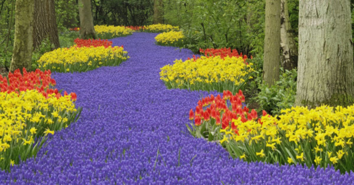 Gorgeous Springtime Spots You Should Visit For Some Colour | HuffPost ...