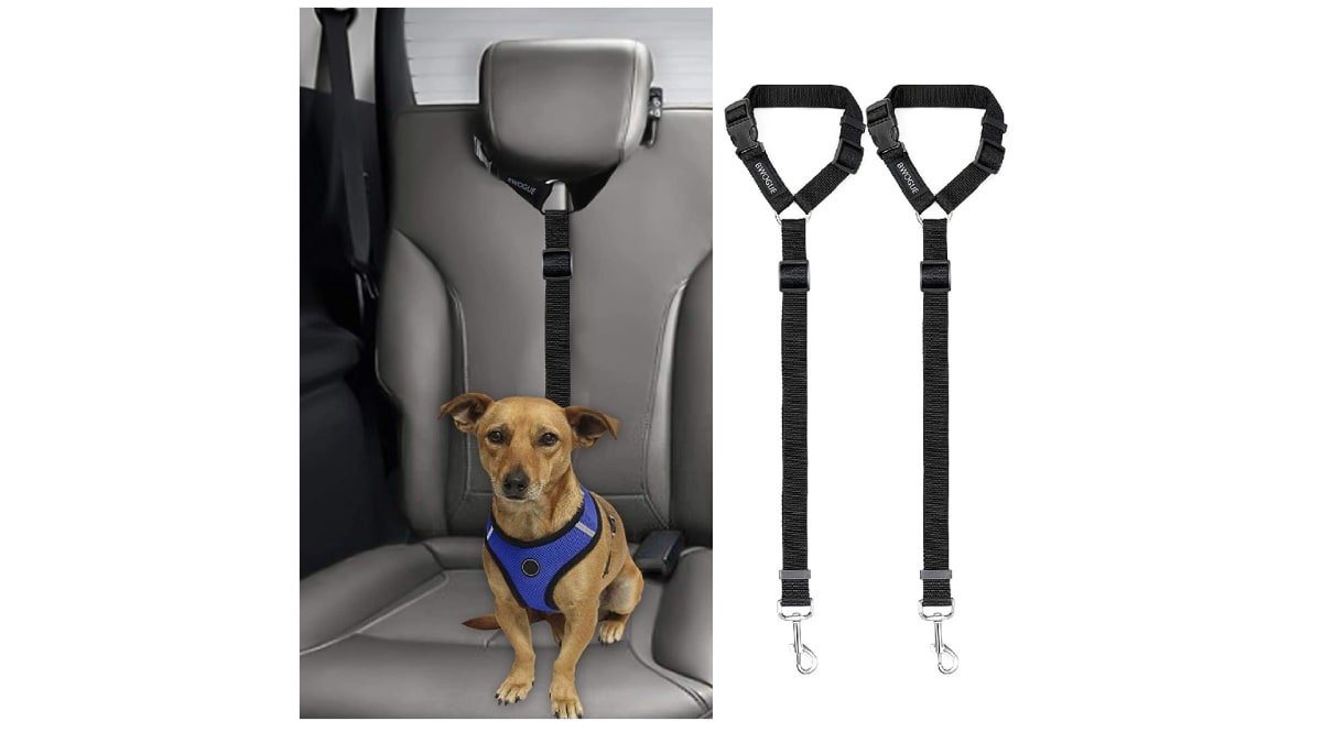 AUTOWT Dog Safety Vest Harness Pet Car Harness Dog Safety Seatbelt Breathable Mesh Fabric Vest with Adjustable Strap for Travel and Daily Use in Vehicle for Dogs Puppy Cats 
