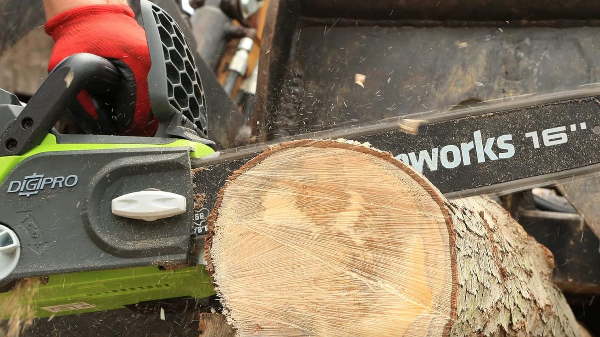 Ускорьте уборку осеннего двора со скидкой до 57% на инструменты Greenworks в Amazon