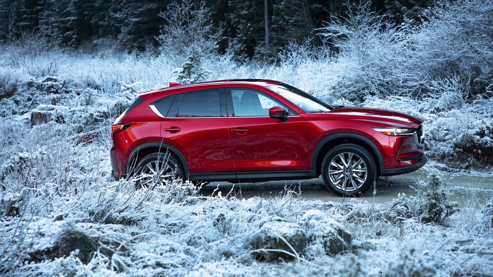 2019 Mazda CX-5 Reviews | Price, specs, features and photos - Autoblog