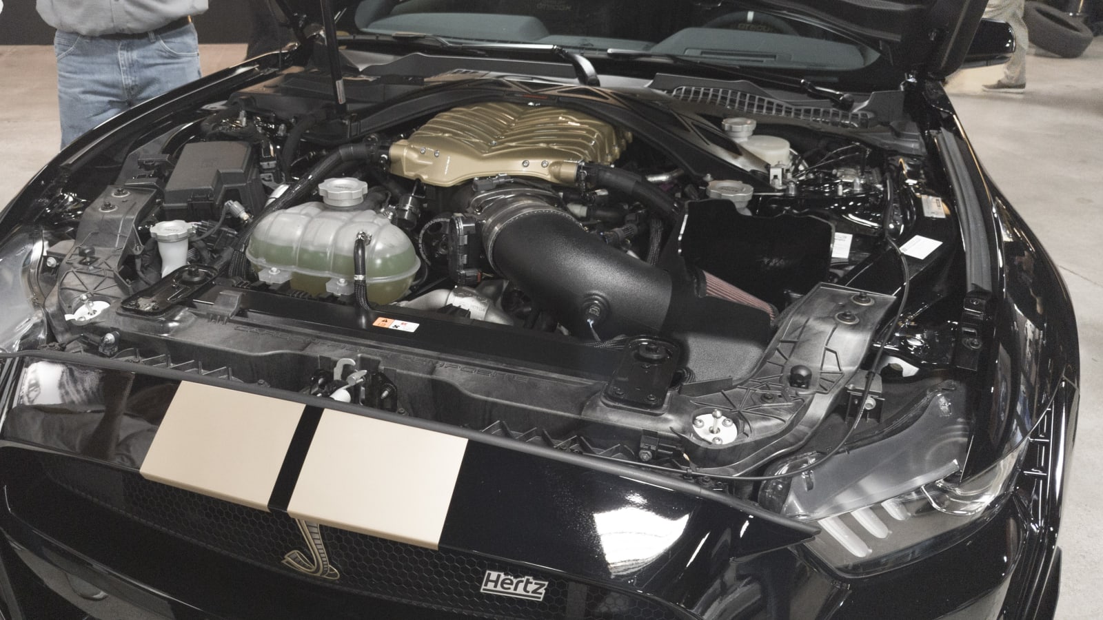 Shelby GT500-H, Hertz kiracılarının eline çılgın 900 hp koyuyor