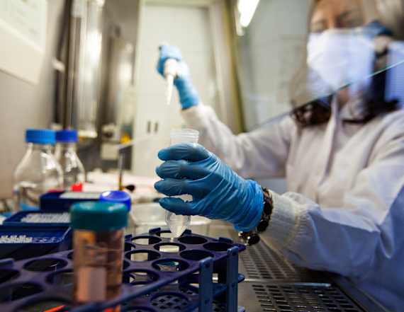 Immune boosting virus could be used to treat tumors