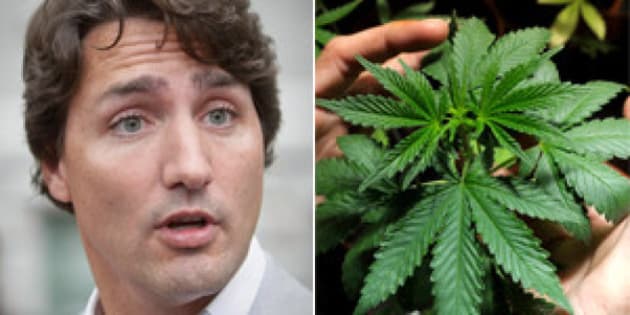 Michel blogue/Sujet 1/ Justin Trudeau premier ministre du Canada ou premier ministre du Cannabis?/ Http%3A%2F%2Fi.huffpost.com%2Fgen%2F1317513%2Fimages%2Fn-JUSTIN-TRUDEAU-POT-628x314