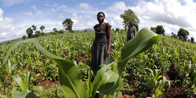 Invest In Women To Reduce Post-harvest Losses 