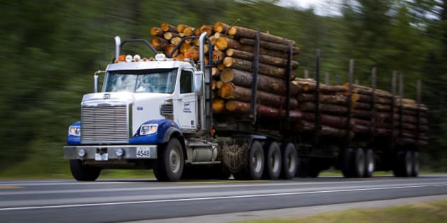 Logging Truck Rules Need Review, Says Union Chief | HuffPost Canada
