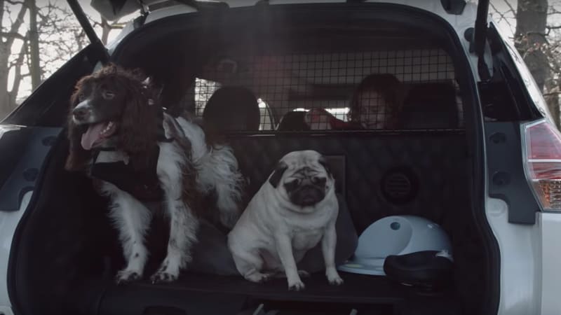  Concepto Nissan X-Trail 4Dogs