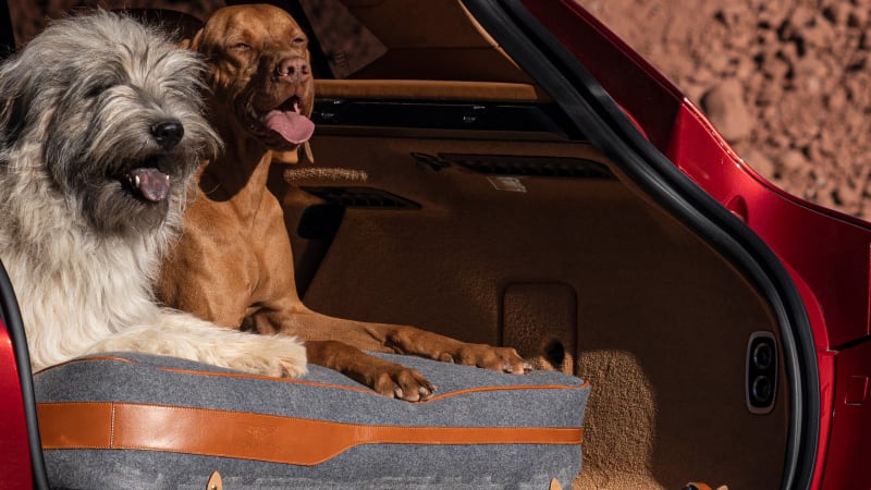 The Best Car Seat Covers For Dogs In 2023 - Autoblog