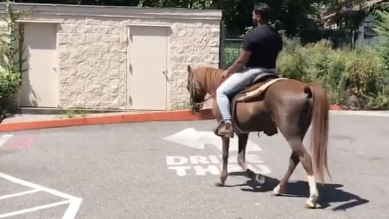photo of Staten Island couple parks a horse in their driveway image