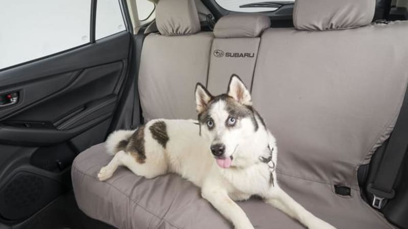 Subaru Now Offers Pet Accessories For A More Dog And Cat Friendly Car - Subaru Car Seat Cover For Dogs