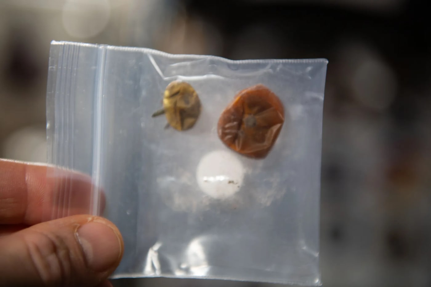 These tomatoes were lost on the International Space Station for almost a year