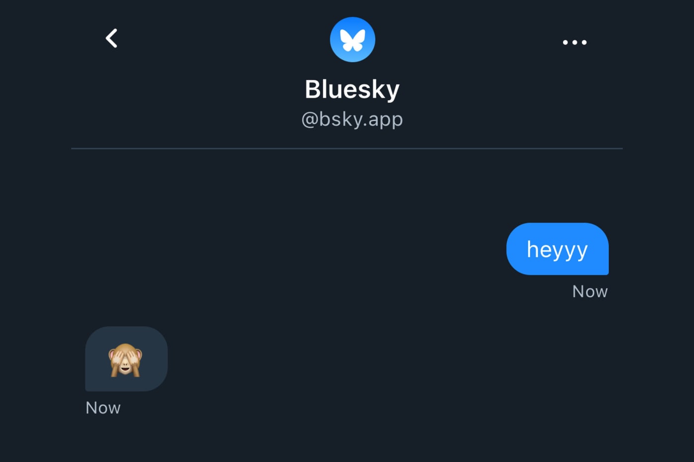 Bluesky finally has DMs, with encrypted messaging coming ‘down the line’