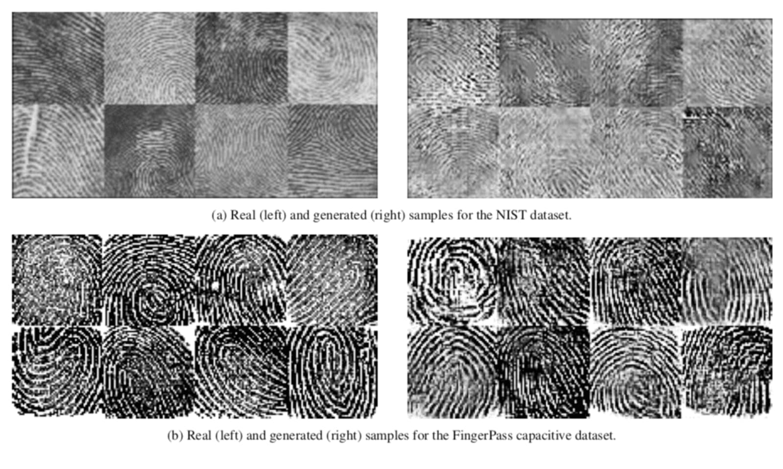 Real fingerprints and AI-generated synthetic prints