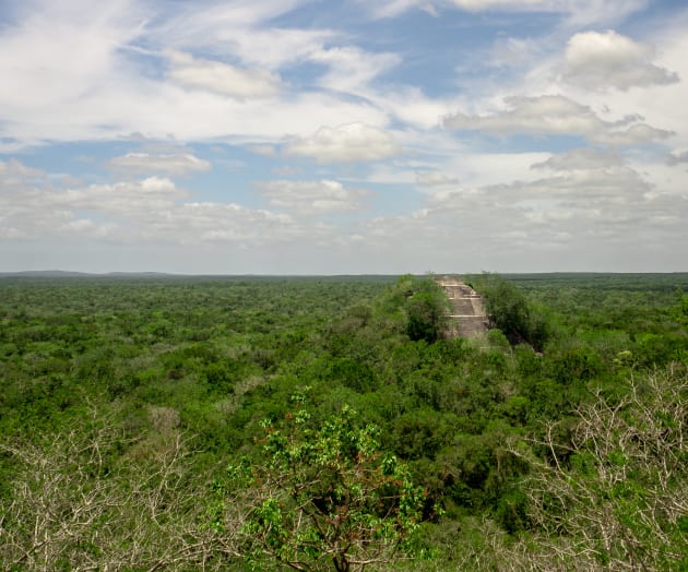 Calakmul, es un sitio arqueológico enclavado en una de las selvas más inhóspitas de México.