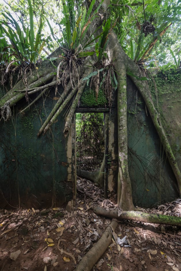 Sur les traces de Papillon dans le bagne de l&#39;île Saint-Joseph en Guyane | Le Huffington Post