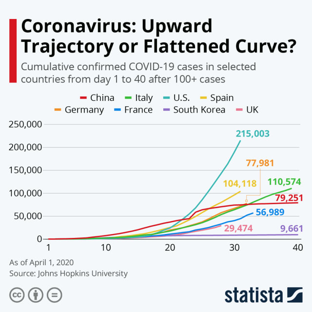 Coronavirus infection curves
