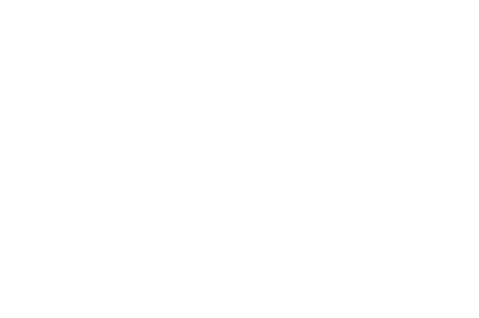 A drawing of a tapir