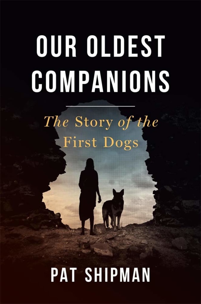 Our Oldest Companions cover