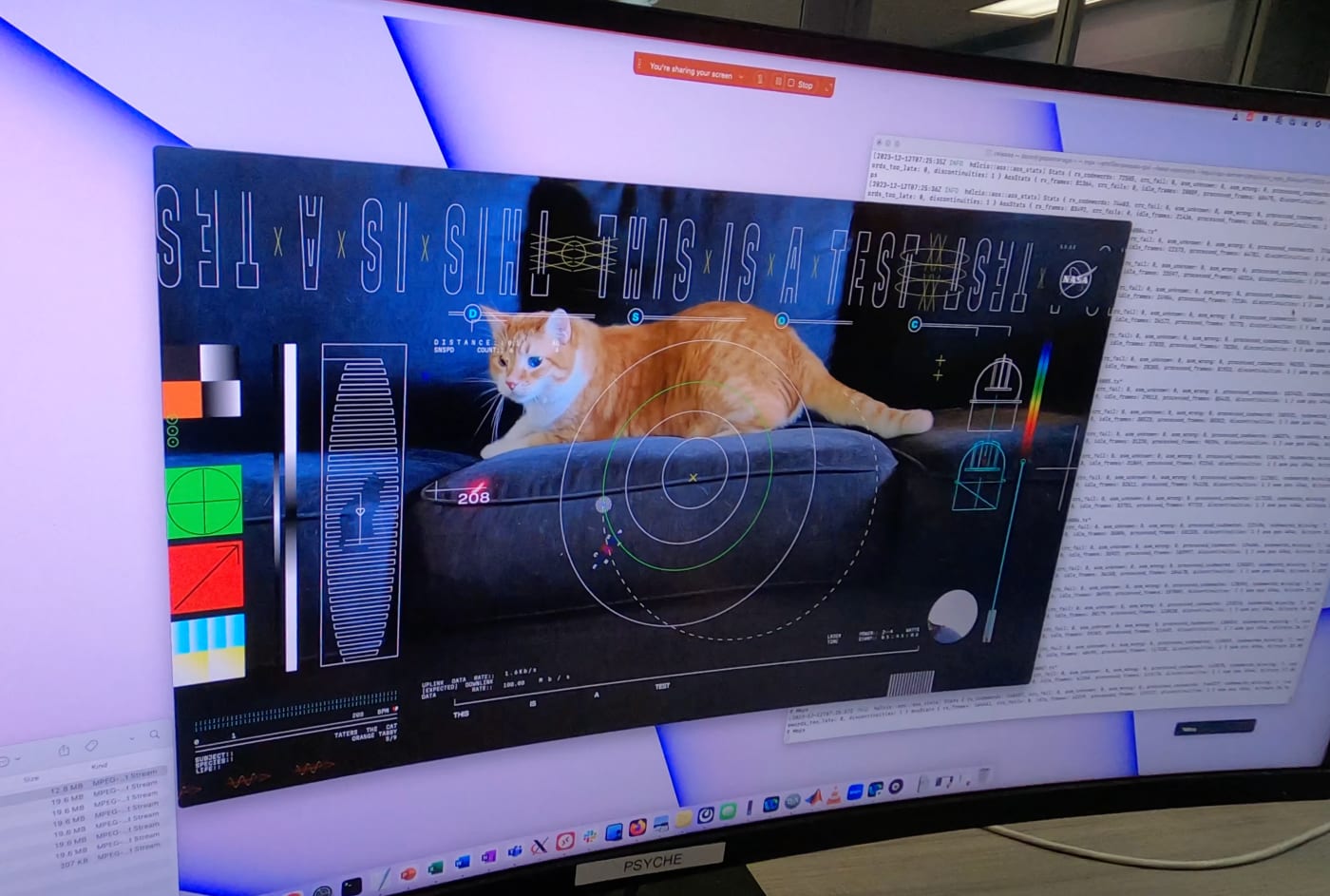 NASA beamed a video of a cat named Taters from deep space to Earth