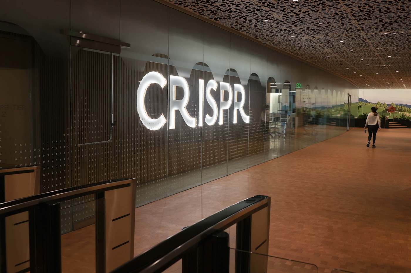 CRISPR can stop malaria spread by editing a single gene in mosquitos