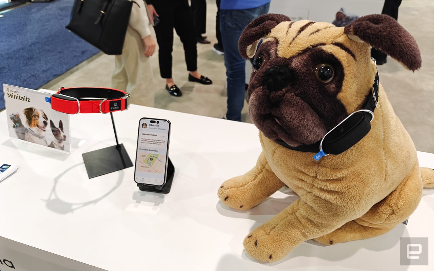This smart collar from Invoxia can also detect your pet's abnormal heart rhythms