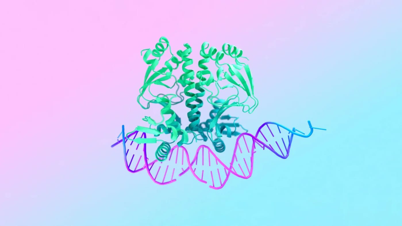 Google DeepMind's latest medical breakthrough borrows a trick from AI image generators