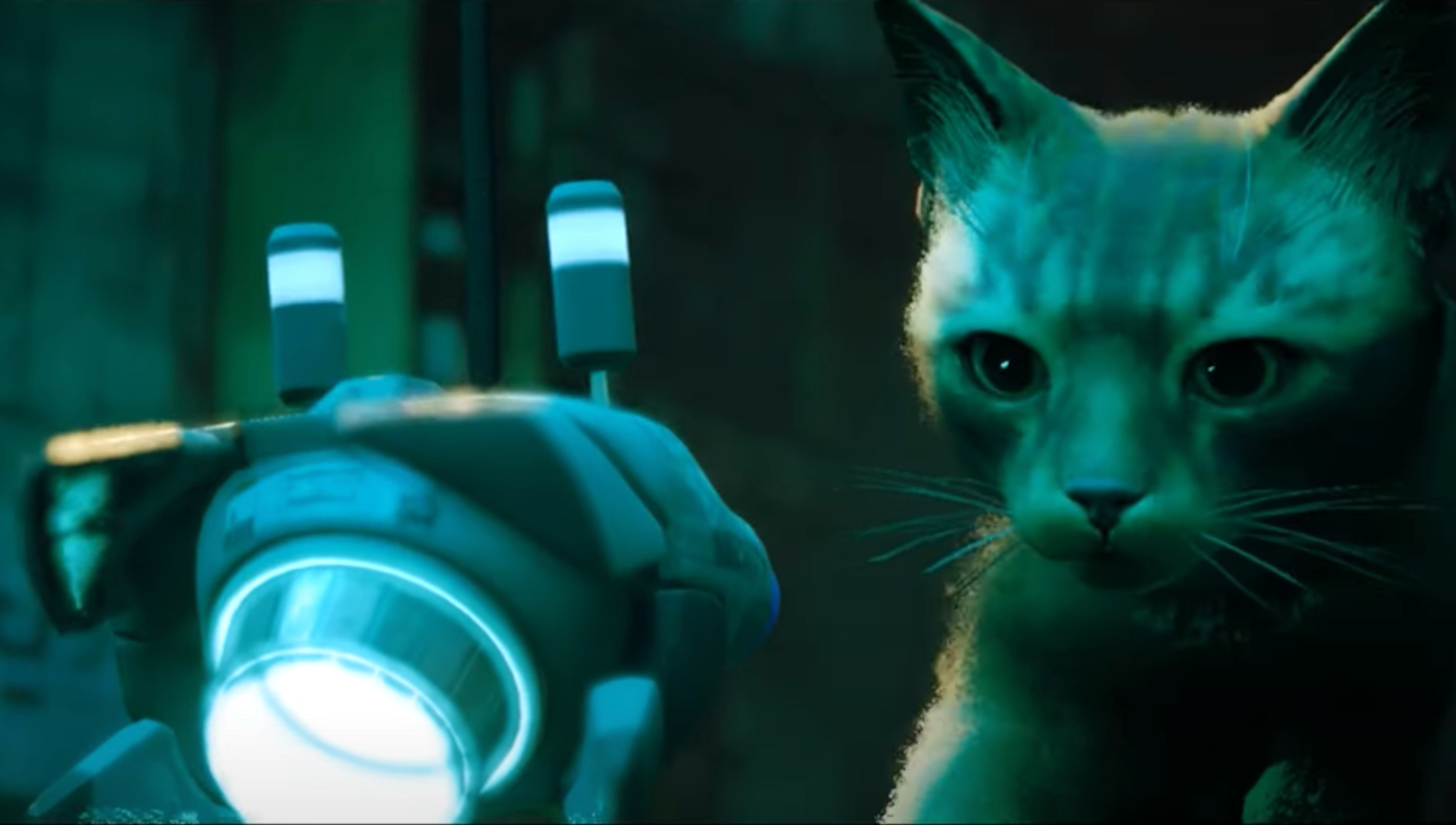 Beloved cat sim Stray comes to the Switch on November 19