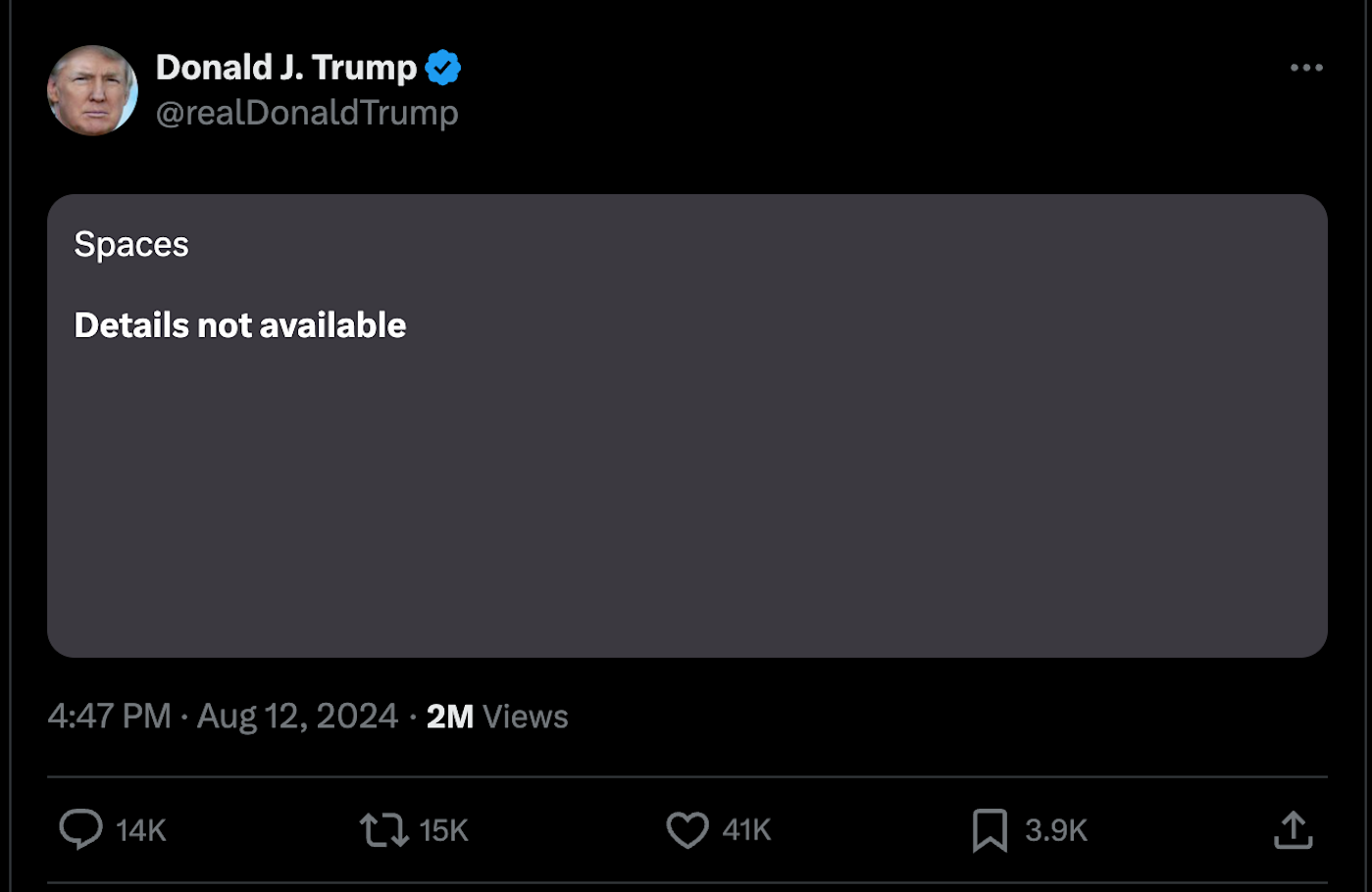 Elon Musk claims 'massive DDOS attack' delayed his live stream with Donald Trump