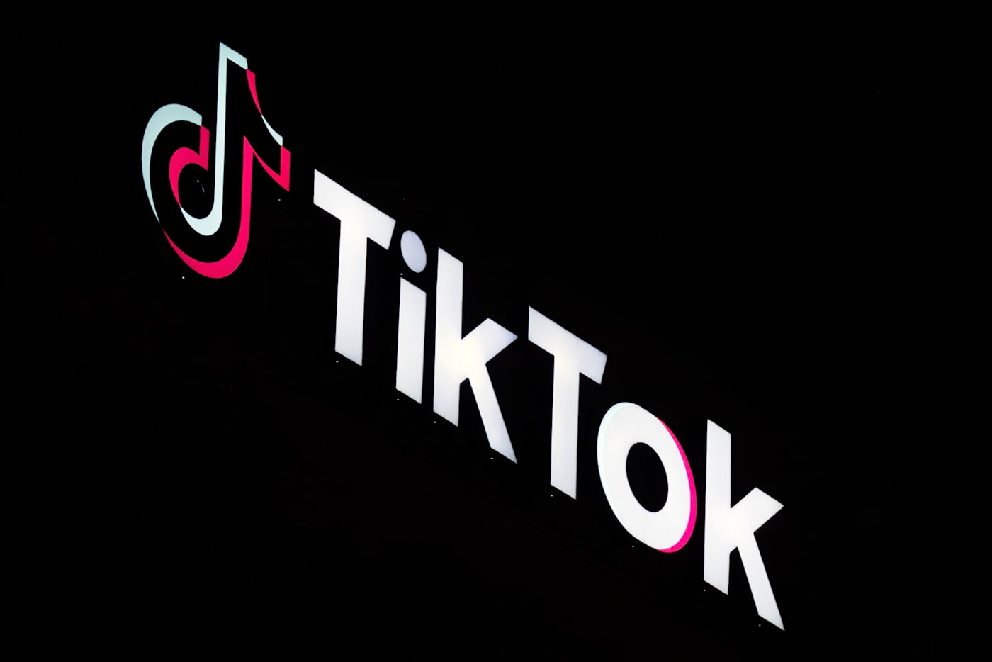 TikTok asks court to delay the law that would ban its app next month