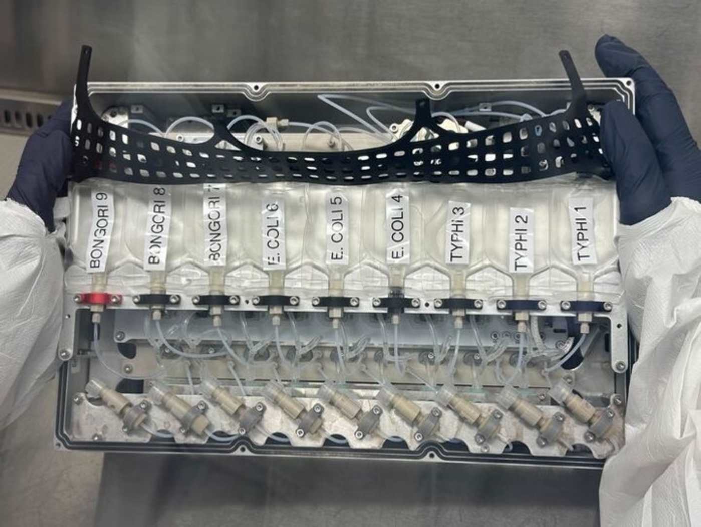 NASA's latest mission to the ISS features a bacterial experiment