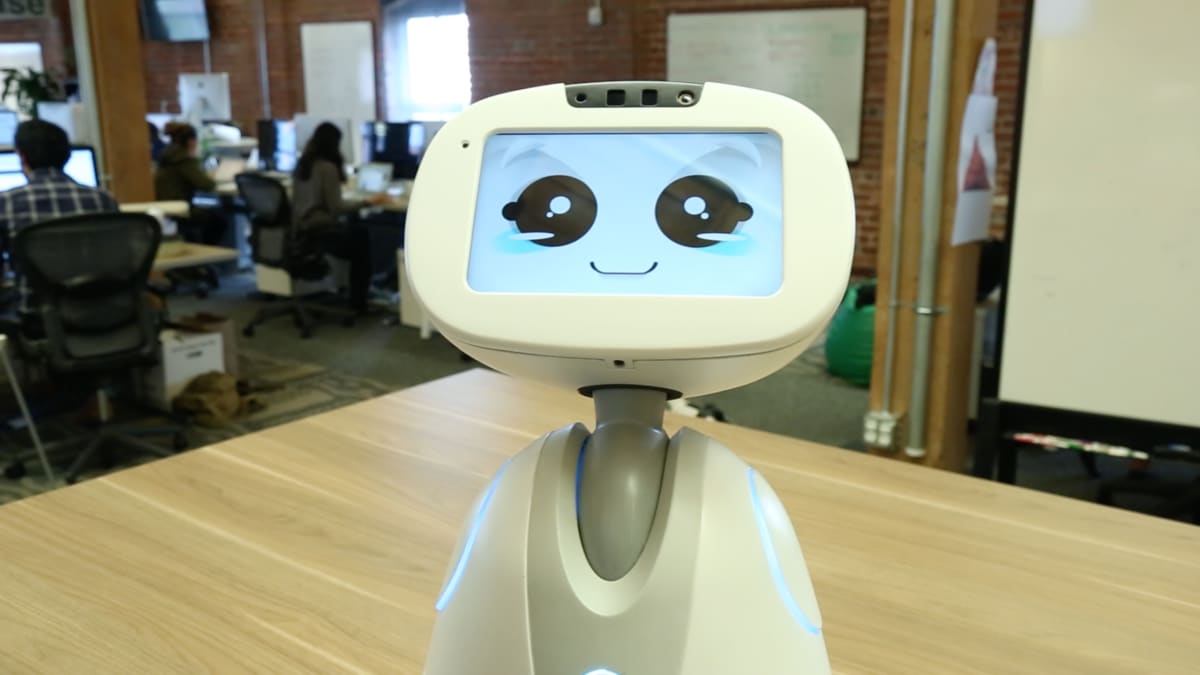 Buddy the robot wants to be your modern-day Rosie
