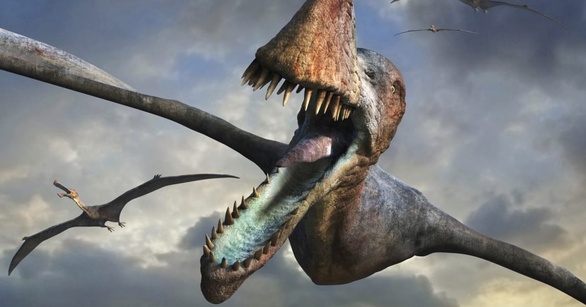 Flying Pterosaurs Were As Big As It Gets, Study Finds