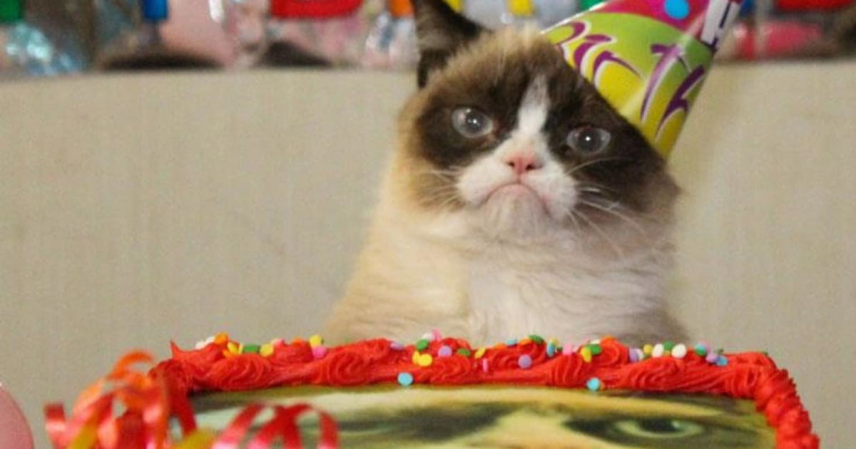 Happy Birthday, Grumpy Cat! (PICTURES)
