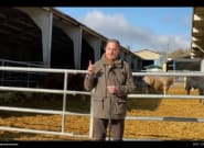 El presidente del PP vasco da un mitin en una granja y ojo a lo que ocurre a la