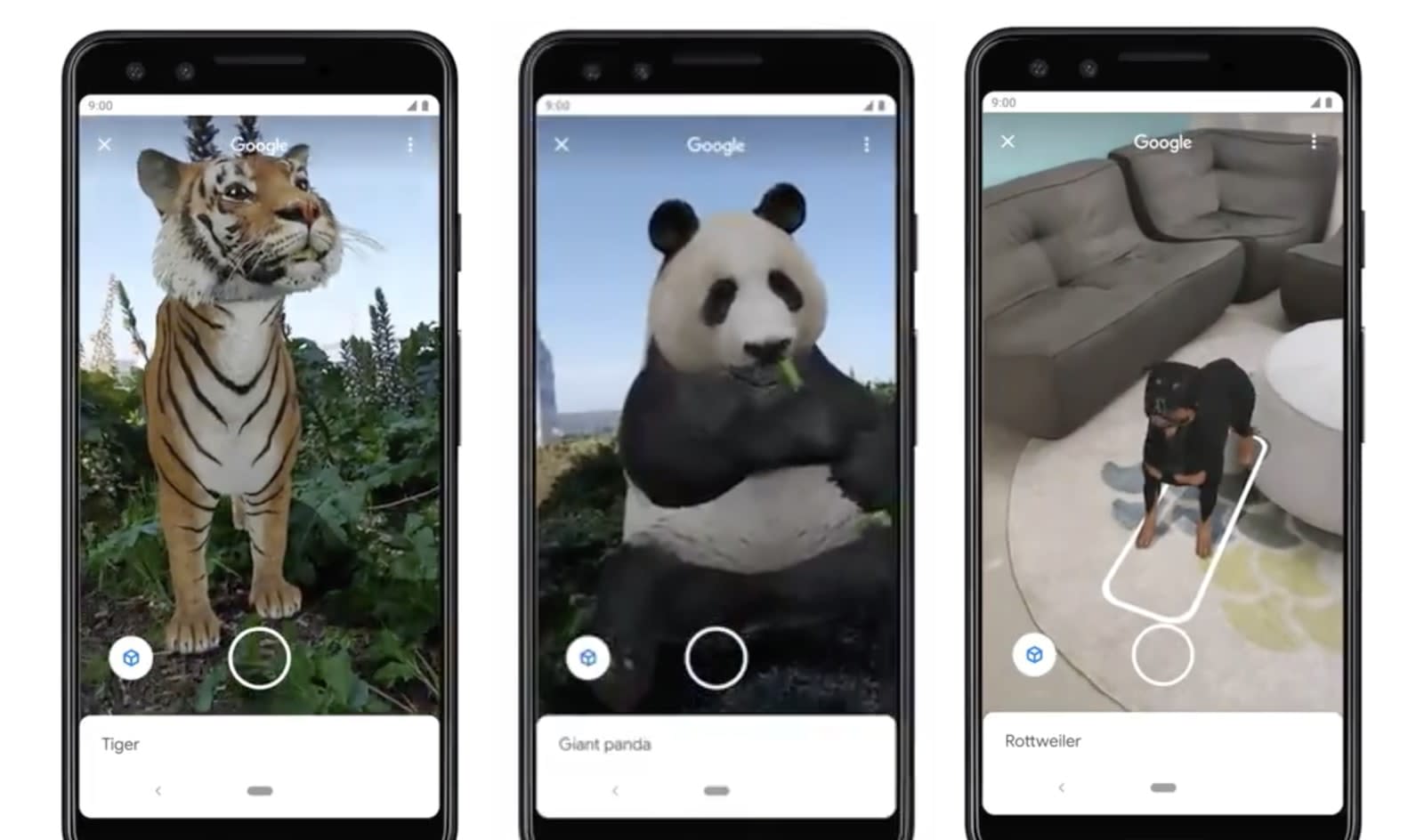 Google puts augmented reality animals in its Search app | Engadget