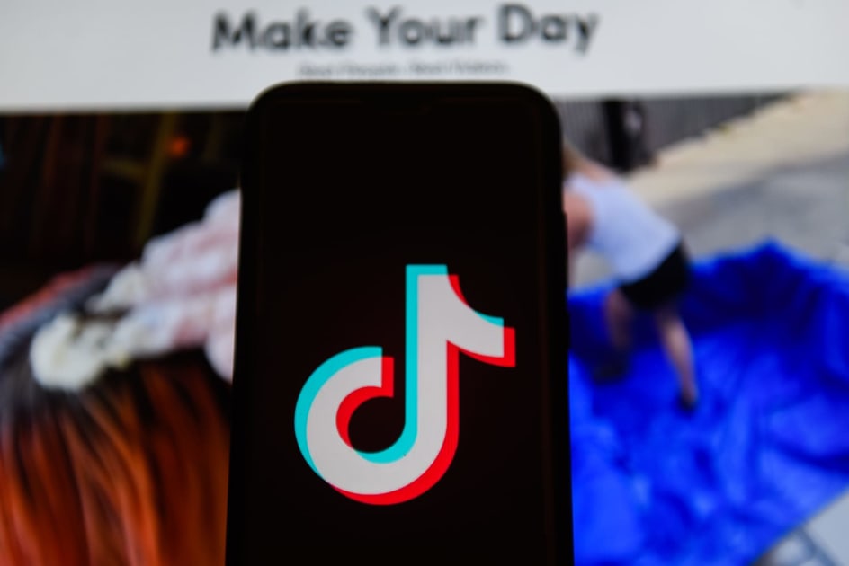 TikTok names experts who will help shape its content policies 1